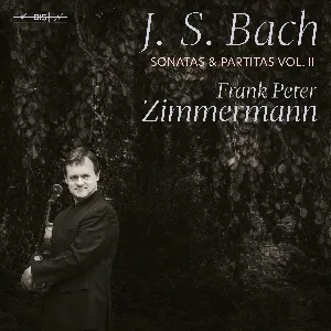 Pochette Sonatas and Partitas, Vol. II