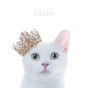 Pochette de BEST SELECTION “blanc” de Aimer