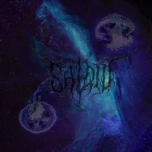 Pochette de Invisible Music For the Unseen de Salqiu