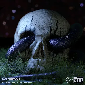 Pochette de Dangerous de DeathbyRomy