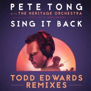 Pochette Sing It Back (Todd Edwards Remixes)