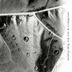 Pochette de Echo Passage de Vidna Obmana - Alio Die