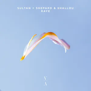 Pochette de Raye de Sultan + Shepard