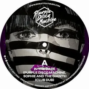 Pochette de In the Dark de Purple Disco Machine