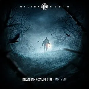 Pochette de Misty VIP de Downlink