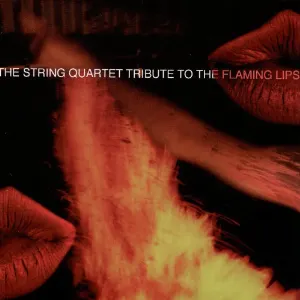 Pochette de The String Quartet Tribute to The Flaming Lips de Vitamin String Quartet
