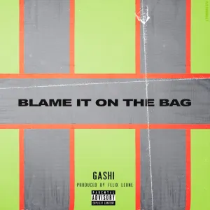 Pochette de Blame It On The Bag de GASHI