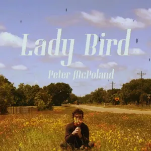 Pochette de Lady Bird de Peter McPoland