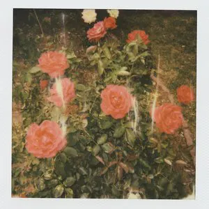 Pochette de chapter 2 de girl in red
