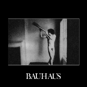 Pochette de In the Flat Field de Bauhaus