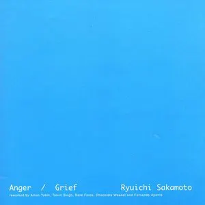 Pochette Anger / Grief