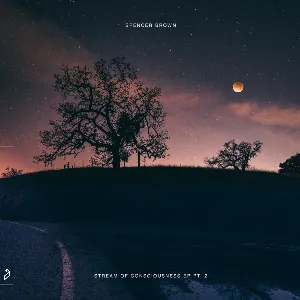 Pochette de Stream of Consciousness EP, Pt. 2 de Spencer Brown