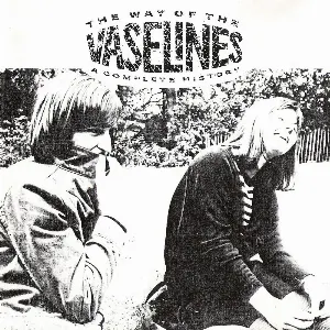 Pochette The Way of the Vaselines: A Complete History