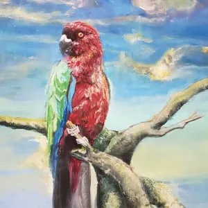 Pochette de Runner de Alex G