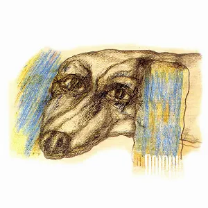Pochette de Звезда de Дельфин