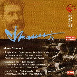 Pochette Johann Strauss Jr