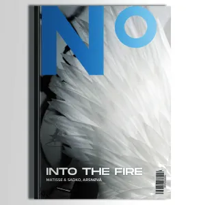Pochette de Into The Fire de Matisse & Sadko
