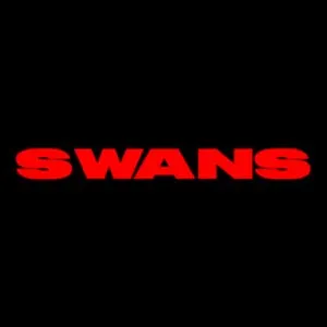 Pochette de Swans de Brooke Candy
