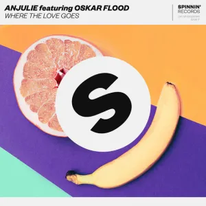 Pochette de Where The Love Goes de Anjulie