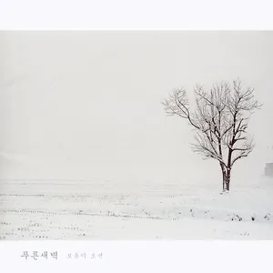 Pochette de 보옴이 오면 de Bluedawn