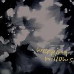 Pochette de Presence de Weeping Willows