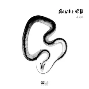 Pochette de Snake de P Money