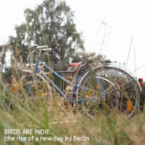 Pochette de (The Rise of a New Day in) Berlin de Birds Are Indie