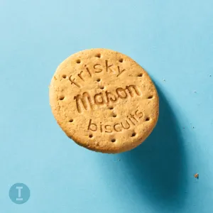 Pochette de Frisky Biscuits de Mason