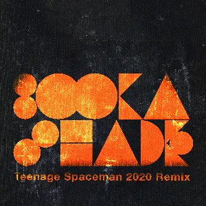 Pochette Teenage Spaceman (2020 Remixes)