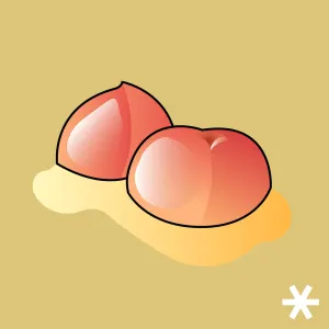 Pochette de cts8 de KIRARA