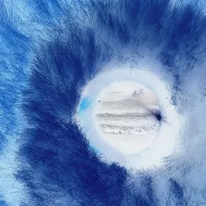 Pochette de Oh! The Ocean: Holy Sugar de The Wombats