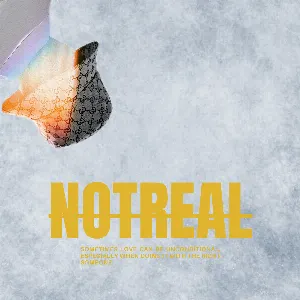 Pochette de Not Real de Socket