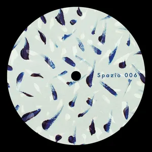 Pochette de Paramagnetism de Donato Dozzy