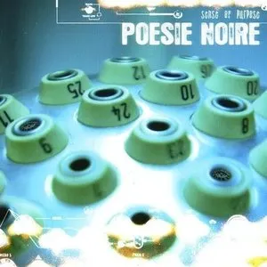 Pochette de Sense of Purpose de Poésie Noire