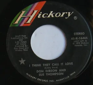 Pochette de I Think They Call It Love de Sue Thompson - Don Gibson