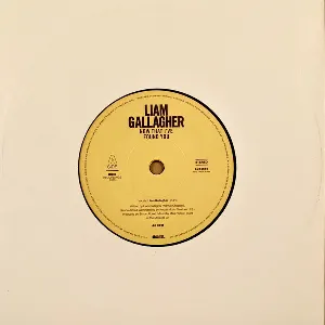 Pochette de Now That I've Found You de Liam Gallagher