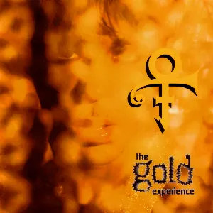 Pochette The Gold Experience
