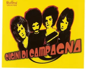 Pochette de Flashback Collection de I Cugini di Campagna