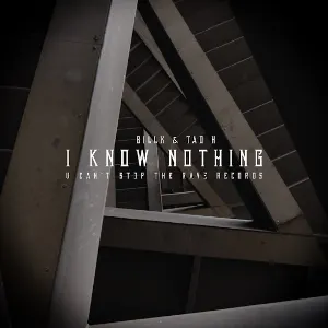 Pochette de I Know Nothing de Billx