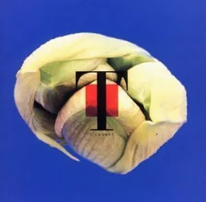 Pochette de Natural de T‐SQUARE