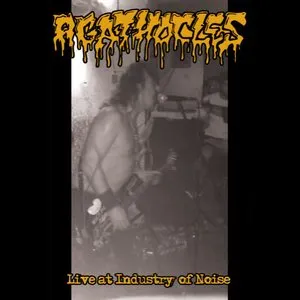 Pochette de Live at Industry of Noise de Agathocles
