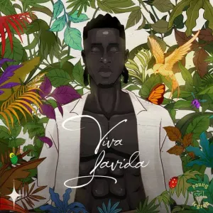 Pochette de Viva Lavida de Joeboy