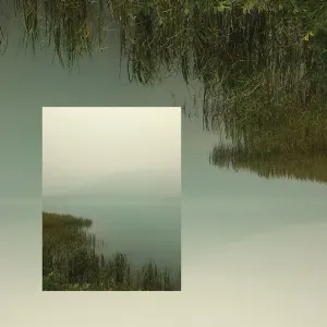 Pochette de Bioluminescence de Teen Daze