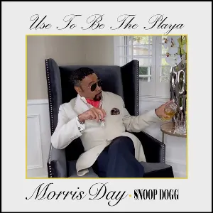 Pochette de Use to Be the Playa de Snoop Dogg