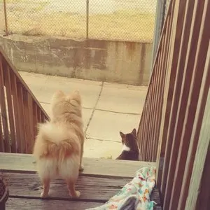 Pochette de Neighbors de Kevin Drumm