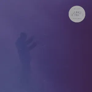Pochette de Juno Remixed de Nils Frahm