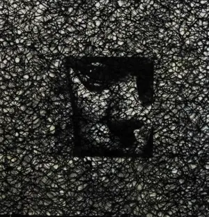 Pochette de Backside de Nurse With Wound