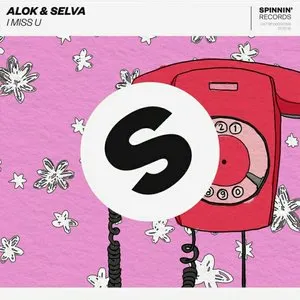 Pochette de I Miss U de Alok