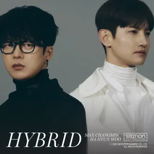Pochette de HYBRID de Max Changmin