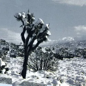 Pochette de Pale Calling de Oren Ambarchi